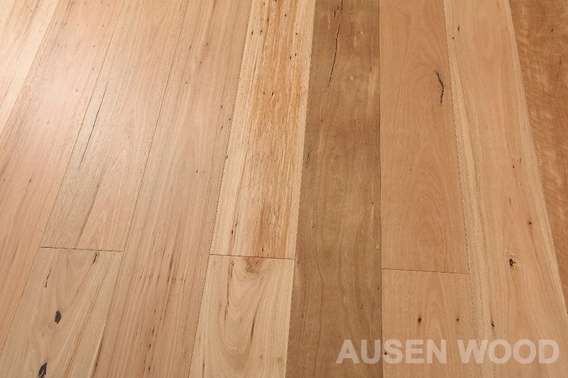 Gordon-Brushed Blackbutt Plank factory